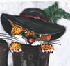 kater_klein2